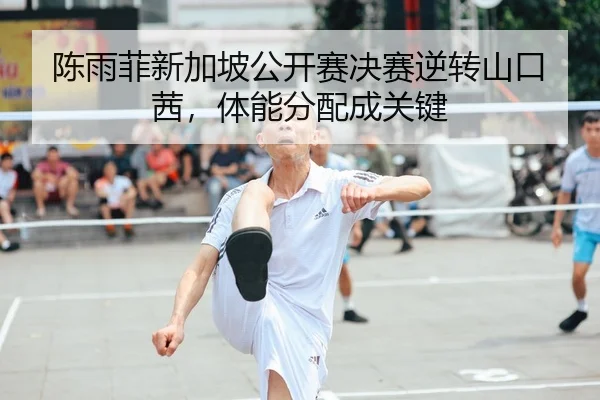 chen-yu-fei-xin-jia-po-gong-kai-sai-jue-sai-ni-zhuan-shan-kou-qian-ti-neng-fen-pei-cheng-guan-jian-2-783.jpg